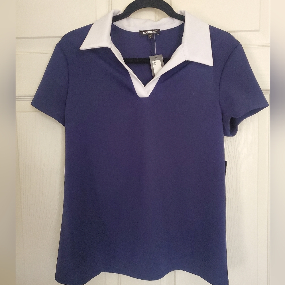 Express Blue and White Fitted Polo Blouse